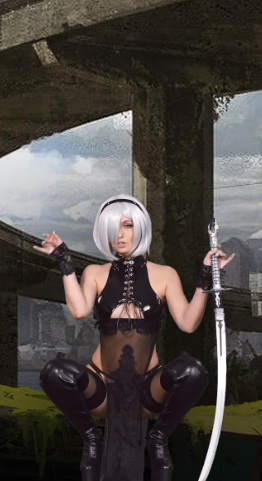 2B (Nier: Automata) Sia Siberia